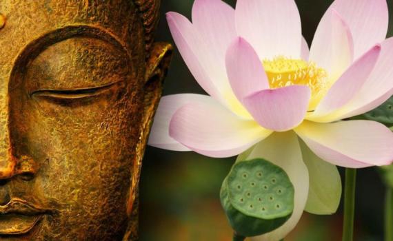 lotus bouddha